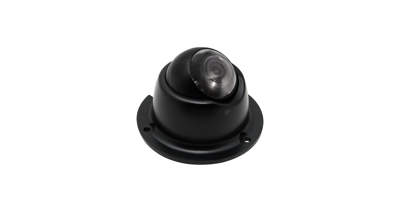 2Mega FHD Eyeball Dome Camera