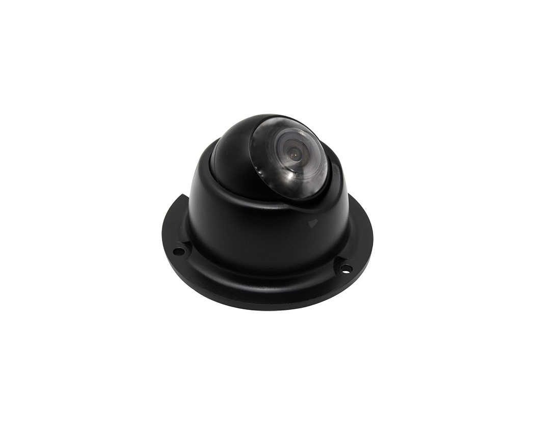 1.3Mega CVBS Eyeball Dome Camera